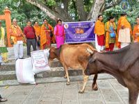Cow Service at Chitwan